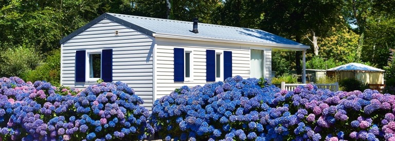 Een witte stacaravan met mooie paarse bloemen op de voorgrond