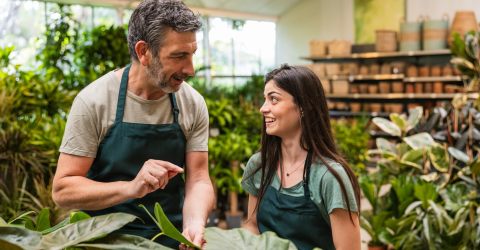 Medewerkers van een tuincentrum die hun plantenkennis delen