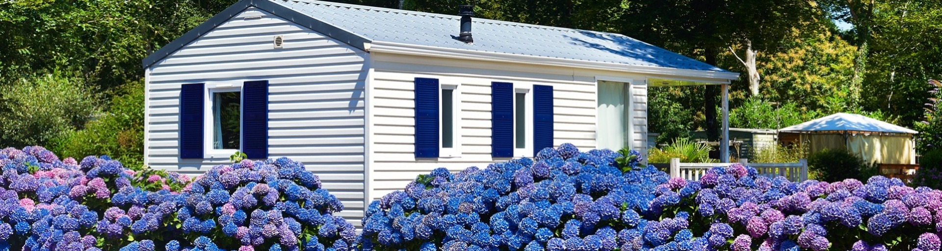 Een witte stacaravan met mooie paarse bloemen op de voorgrond